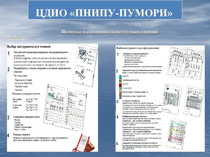 ЦДИО «ПНИПУ-ПУМОРИ» Примеры выполнения практических заданий Модуль 1 