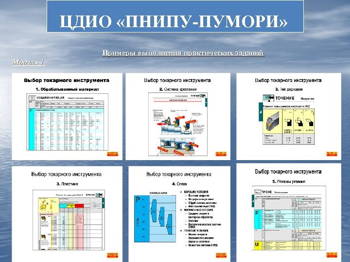 ЦДИО «ПНИПУ-ПУМОРИ» Примеры выполнения практических заданий Модуль 1 