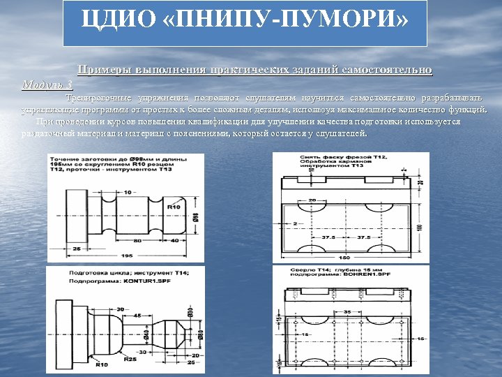 ЦДИО «ПНИПУ-ПУМОРИ» Примеры выполнения практических заданий самостоятельно Модуль 3 Тренировочные упражнения позволяют слушателям научиться