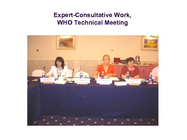 Expert-Consultative Work, WHO Technical Meeting 