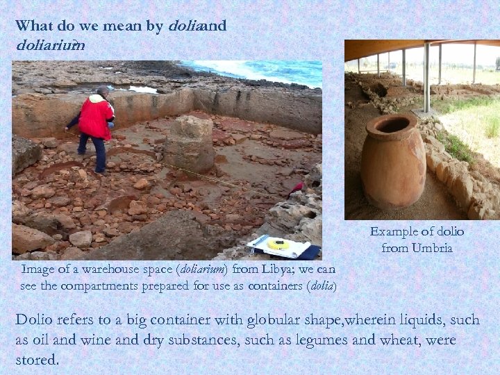 What do we mean by doliaand doliarium ? Example of dolio from Umbria Image