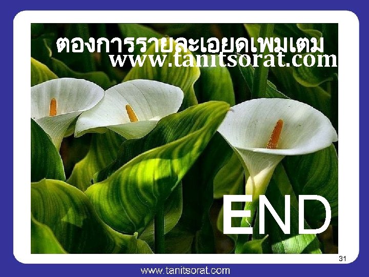 ตองการรายละเอยดเพมเตม www. tanitsorat. com END 31 