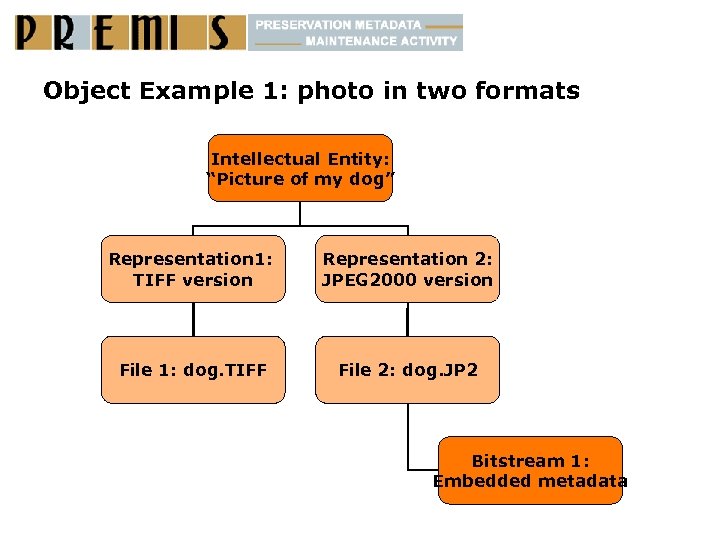 Object Example 1: photo in two formats Intellectual Entity: “Picture of my dog” Representation