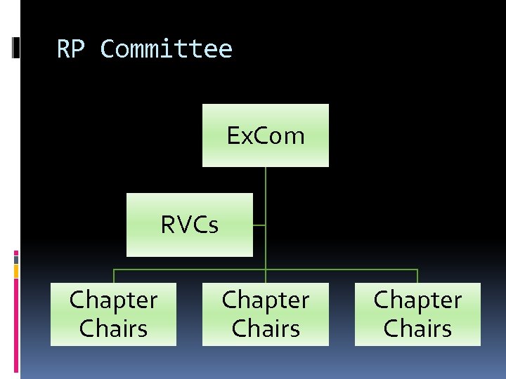 RP Committee Ex. Com RVCs Chapter Chairs 