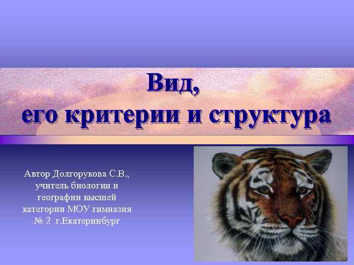 Вид, его критерии и структура Автор Долгорукова С. В. , учитель биологии и географии