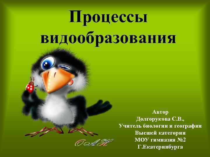 Процессы видообразования Автор Долгорукова С. В. , Учитель биологии и географии Высшей категории МОУ