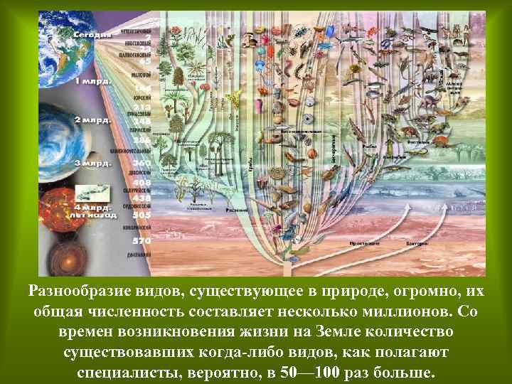 Разнообразие видов, существующее в природе, огромно, их общая численность составляет несколько миллионов. Со времен