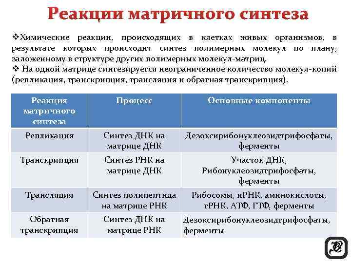 Реакции матричного синтеза v. Химические реакции, происходящих в клетках живых организмов, в результате которых