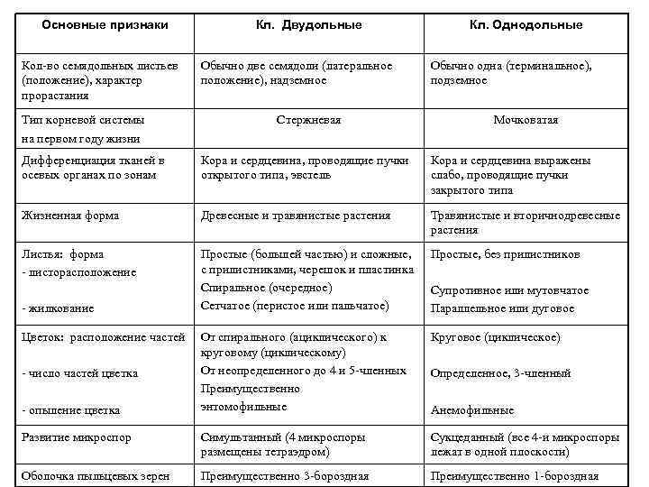 Основные признаки Кол-во семядольных листьев (положение), характер прорастания Тип корневой системы на первом году