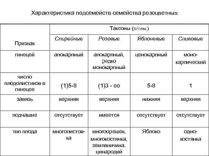 Таблица по биологии 7 класс розоцветные