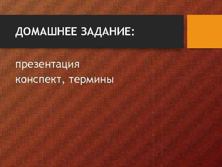 ДОМАШНЕЕ ЗАДАНИЕ: презентация конспект, термины 