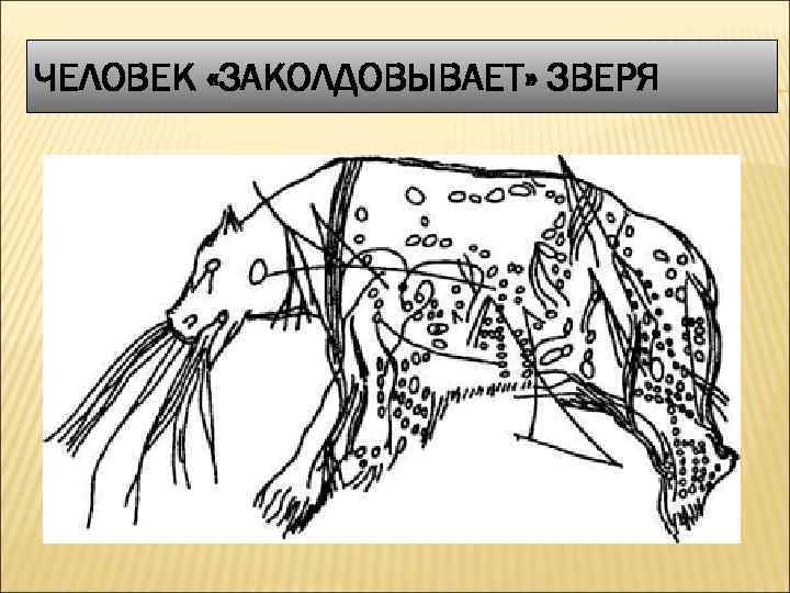 ЧЕЛОВЕК «ЗАКОЛДОВЫВАЕТ» ЗВЕРЯ 