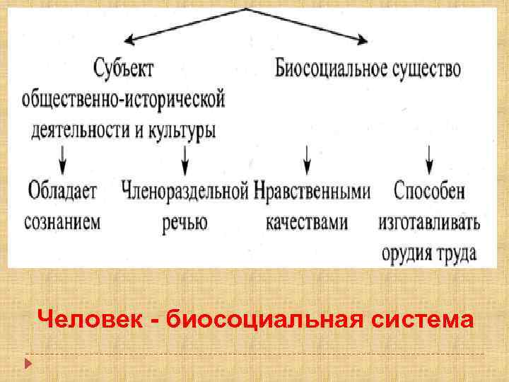 Презентация что делает человека человеком 8 класс