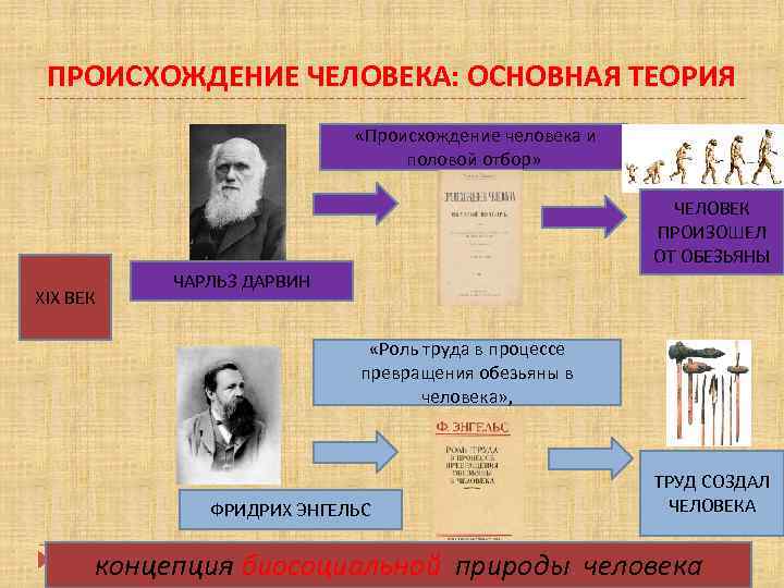 Презентация что делает человека человеком 8 класс