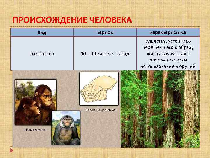 Презентация что делает человека человеком 8 класс