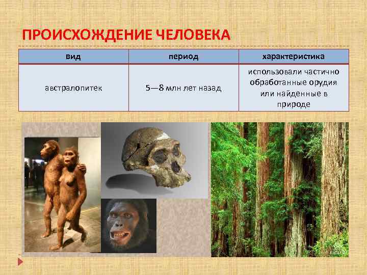 Презентация что делает человека человеком 8 класс