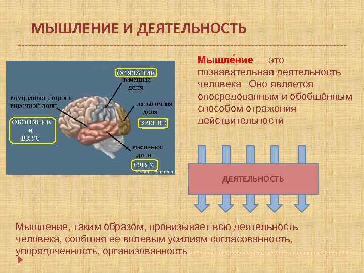 МЫШЛЕНИЕ И ДЕЯТЕЛЬНОСТЬ Мышле ние — это познавательная деятельность человека. Оно является опосредованным и