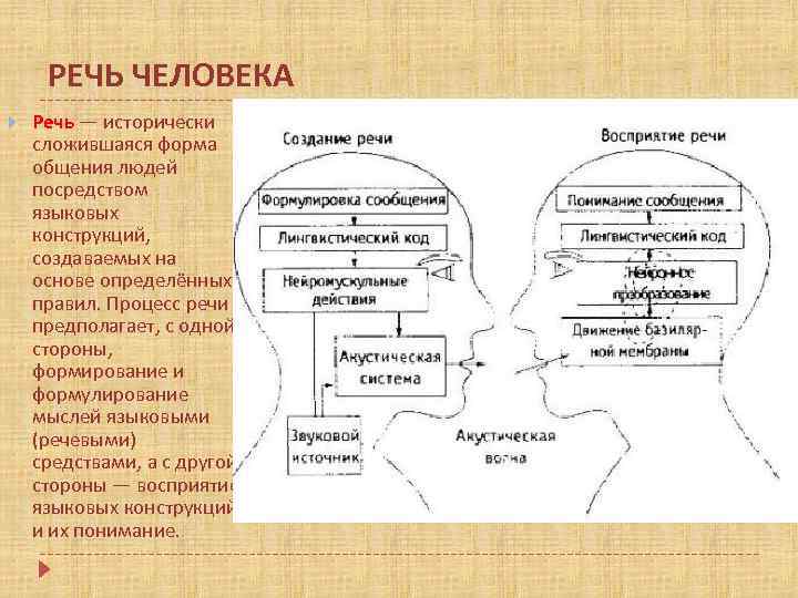 РЕЧЬ ЧЕЛОВЕКА Речь — исторически сложившаяся форма общения людей посредством языковых конструкций, создаваемых на