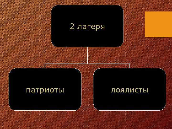 2 лагеря патриоты лоялисты 