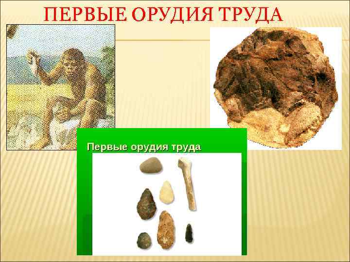 ПЕРВЫЕ ОРУДИЯ ТРУДА 