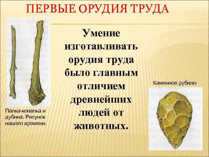 ПЕРВЫЕ ОРУДИЯ ТРУДА Палка-копалка и дубина. Рисунок нашего времени. Умение изготавливать орудия труда было