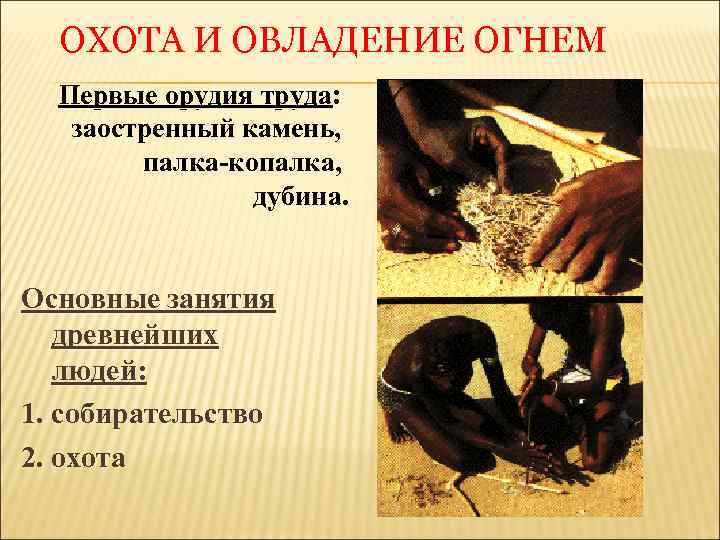 ОХОТА И ОВЛАДЕНИЕ ОГНЕМ Первые орудия труда: заостренный камень, палка-копалка, дубина. Основные занятия древнейших