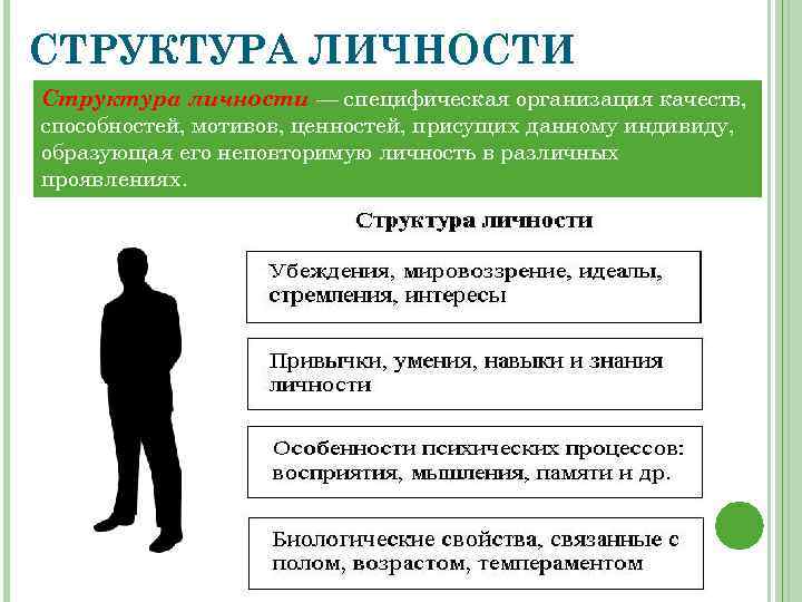 СТРУКТУРА ЛИЧНОСТИ Структура личности — специфическая организация качеств, способностей, мотивов, ценностей, присущих данному индивиду,