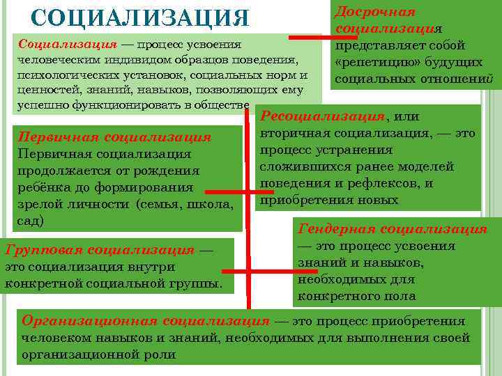 СОЦИАЛИЗАЦИЯ Социализация — процесс усвоения человеческим индивидом образцов поведения, психологических установок, социальных норм и