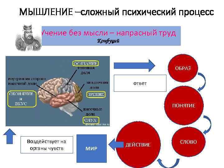 МЫШЛЕНИЕ –сложный психический процесс Учение без мысли – напрасный труд Конфуций ОБРАЗ ответ ПОНЯТИЕ