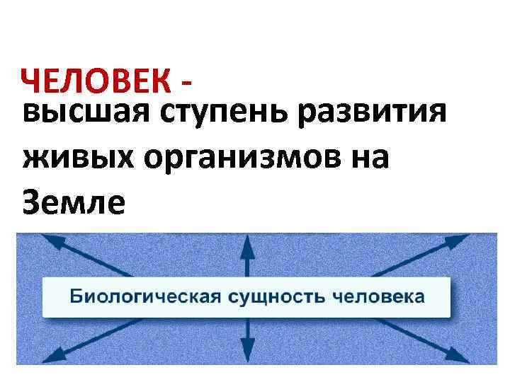 ЧЕЛОВЕК высшая ступень развития живых организмов на Земле 