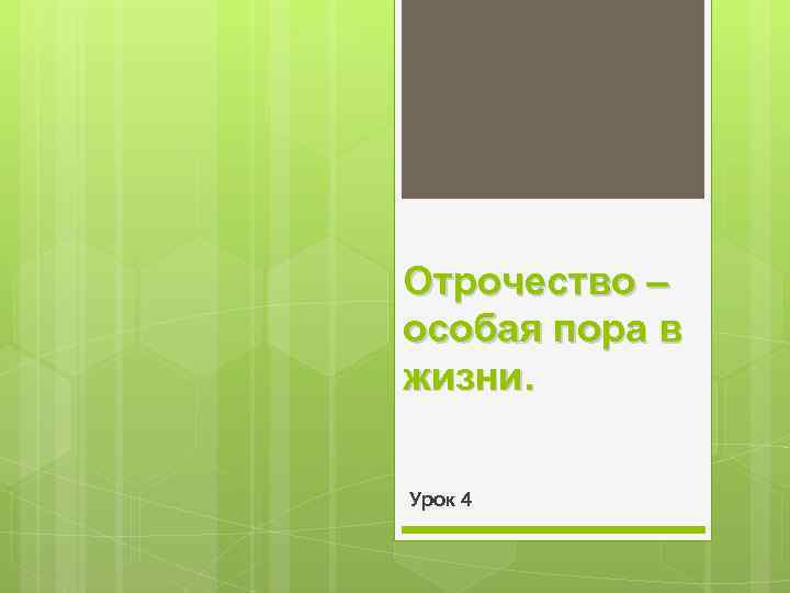 Отрочество – особая пора в жизни. Урок 4 