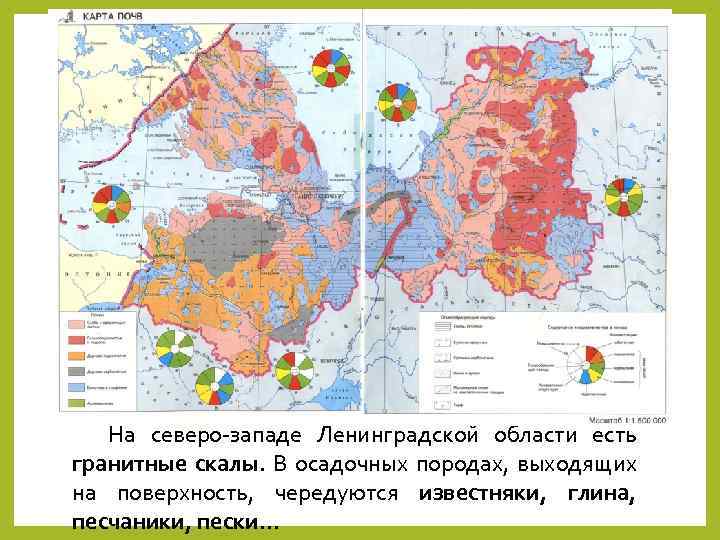 На северо-западе Ленинградской области есть гранитные скалы. В осадочных породах, выходящих на поверхность, чередуются