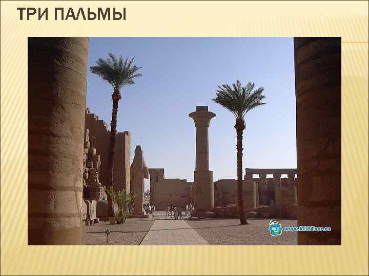 ТРИ ПАЛЬМЫ 