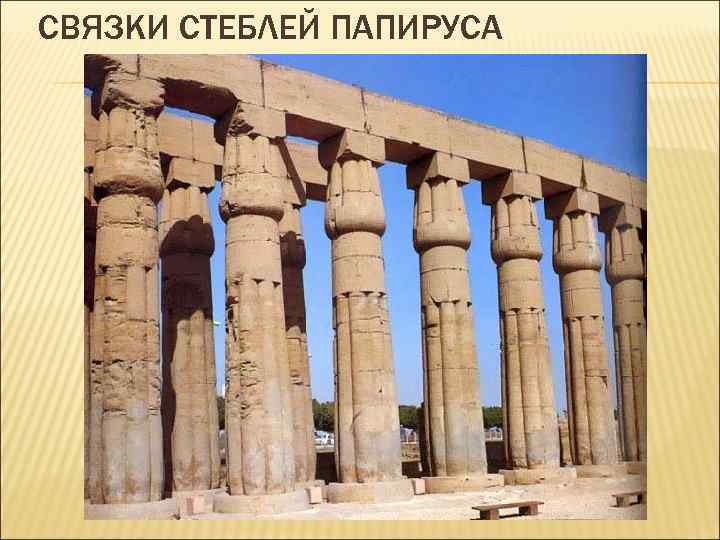 СВЯЗКИ СТЕБЛЕЙ ПАПИРУСА 