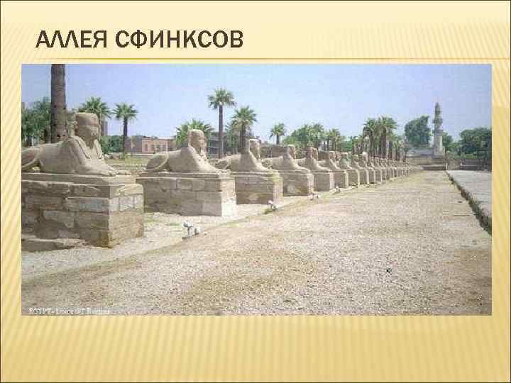 АЛЛЕЯ СФИНКСОВ 