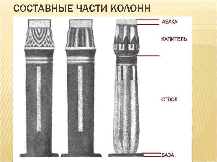 СОСТАВНЫЕ ЧАСТИ КОЛОНН 