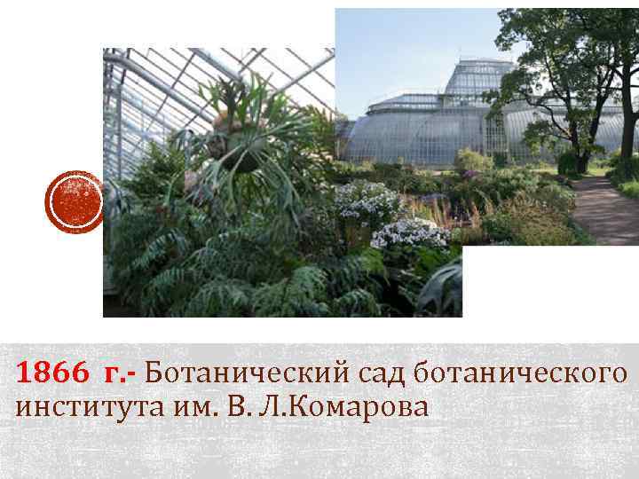 1866 г. - Ботанический сад ботанического института им. В. Л. Комарова 