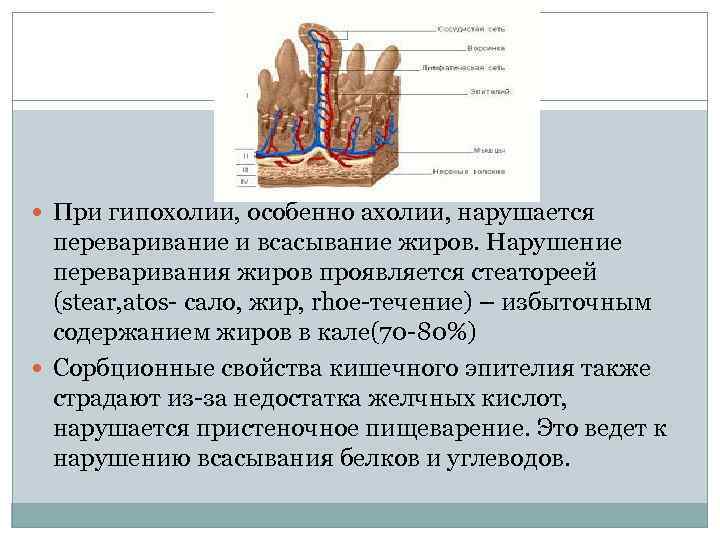  При гипохолии, особенно ахолии, нарушается переваривание и всасывание жиров. Нарушение переваривания жиров проявляется
