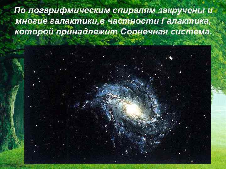 По логарифмическим спиралям закручены и многие галактики, в частности Галактика, которой принадлежит Солнечная система.