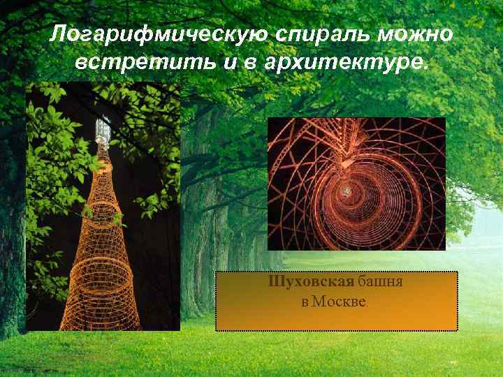 Логарифмическую спираль можно встретить и в архитектуре. Шуховская башня в Москве. 