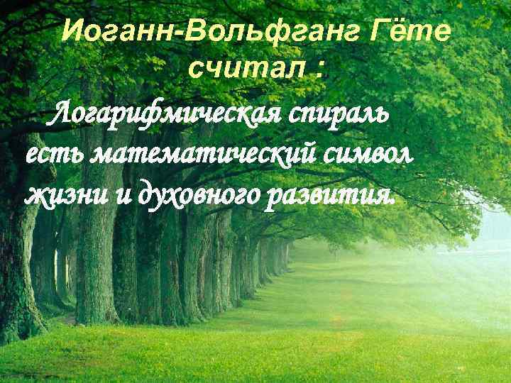 Иоганн-Вольфганг Гёте считал : Логарифмическая спираль есть математический символ жизни и духовного развития. 