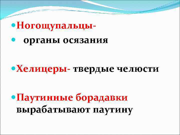  Ногощупальцы органы осязания Хелицеры- твердые челюсти Паутинные борадавки вырабатывают паутину 