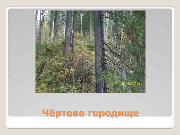 Чёртово городище 