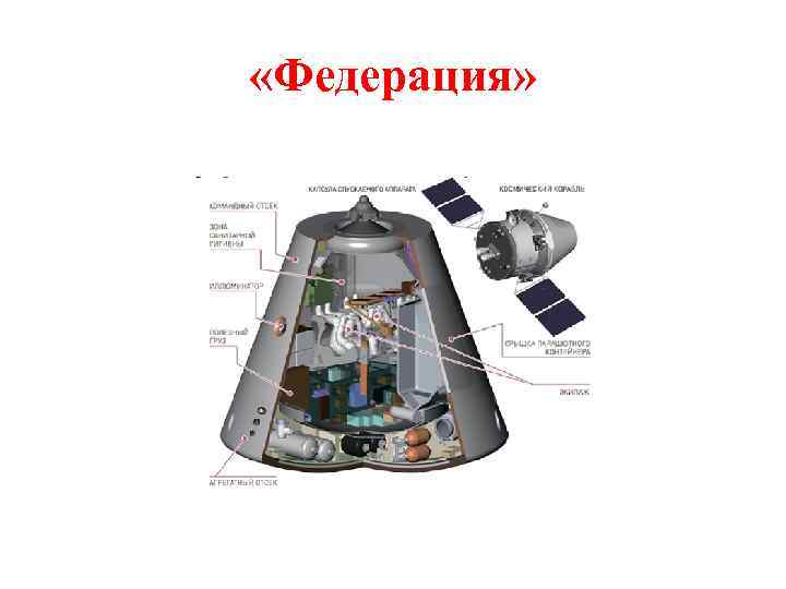  «Федерация» 