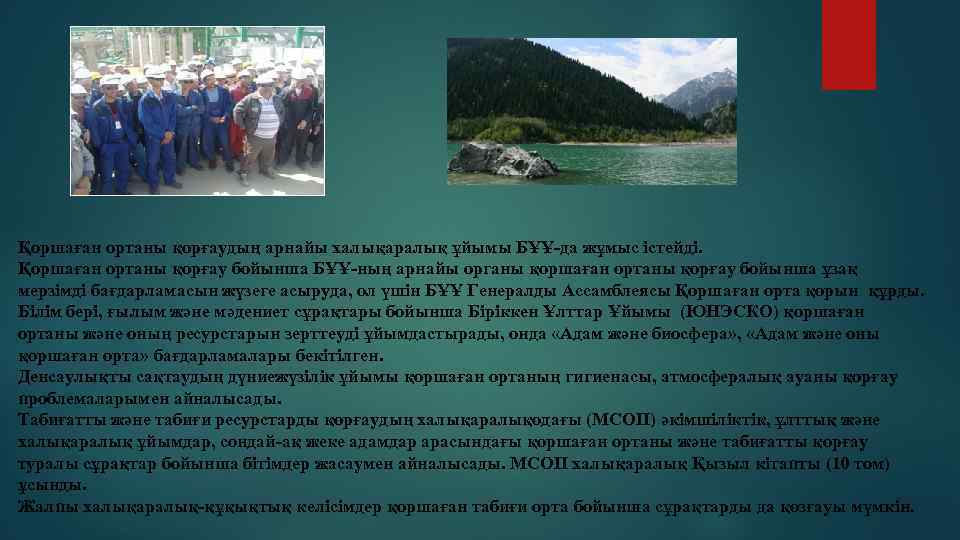 Қоршаған ортаны қорғаудың арнайы халықаралық ұйымы БҰҰ-да жұмыс істейді. Қоршаған ортаны қорғау бойынша БҰҰ-ның