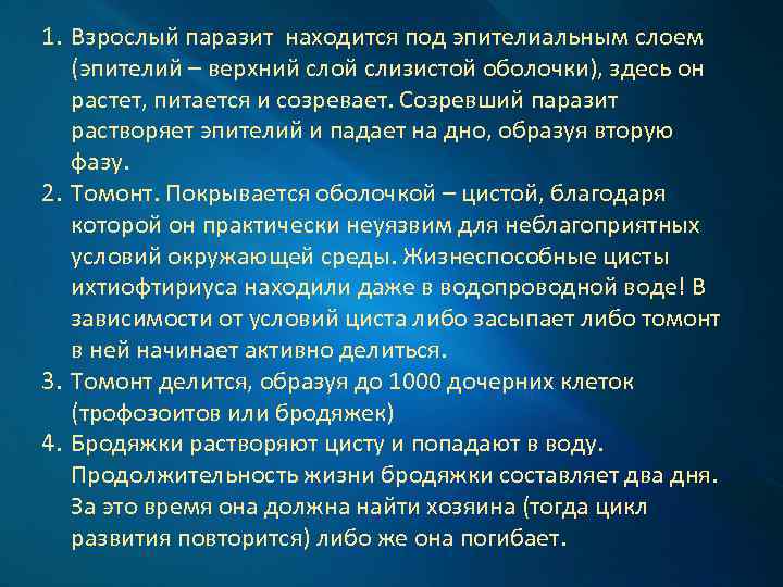 1. Взрослый паразит находится под эпителиальным слоем (эпителий – верхний слой слизистой оболочки), здесь