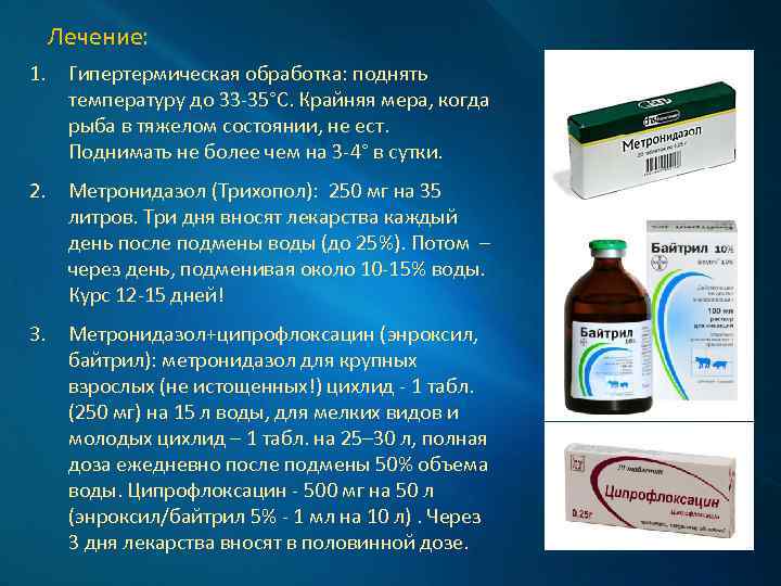 Лечение: 1. Гипертермическая обработка: поднять температуру до 33 -35°С. Крайняя мера, когда рыба в