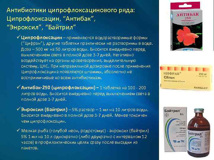 Антибиотики ципрофлоксацинового ряда: Ципрофлоксацин, “Антибак”, “Энроксил”, “Байтрил” ü Ципрофлоксацин – применяются водорастворимые формы (“Цифран”),