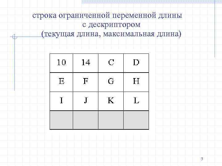 строка ограниченной переменной длины с дескриптором (текущая длина, максимальная длина) 5 