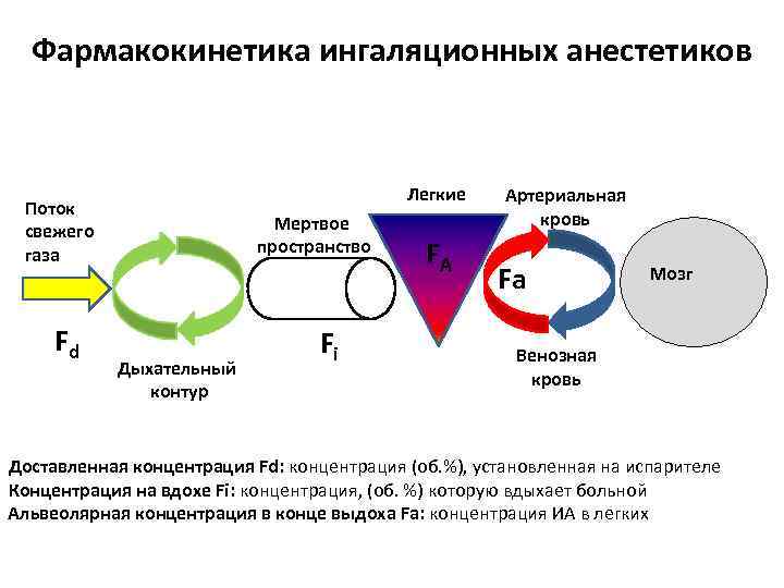 Механизм действия анестезии. Механизм действия ингаляционных общих анестетиков. Схема действия местных анестетиков. Механизм действия ингаляционного наркоза.